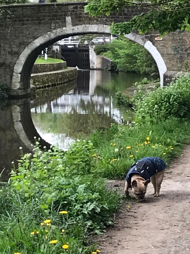River Airebnb Bradford  Zewnętrze zdjęcie