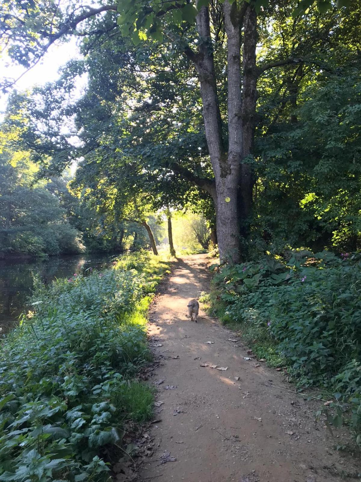 River Airebnb Bradford  Zewnętrze zdjęcie